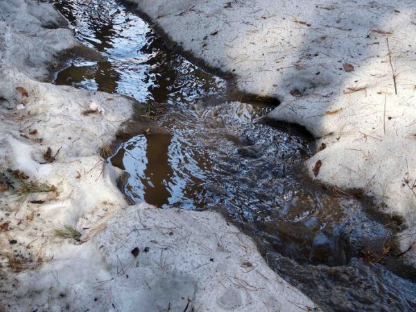 Ручьи от таяния снега