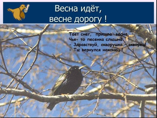 Весне дорогу стихи