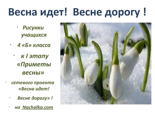 Весне дорогу стихи