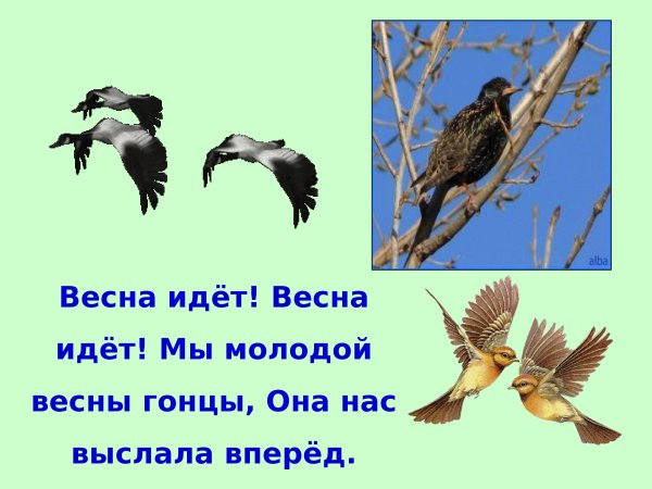 Весна идёт