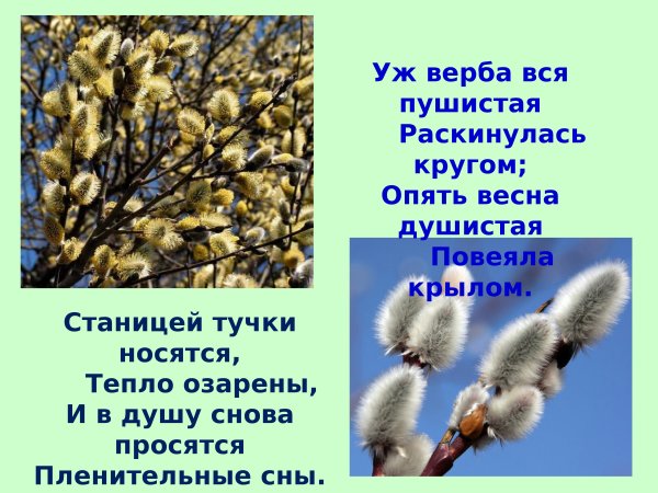 Стихотворение на тему Весна