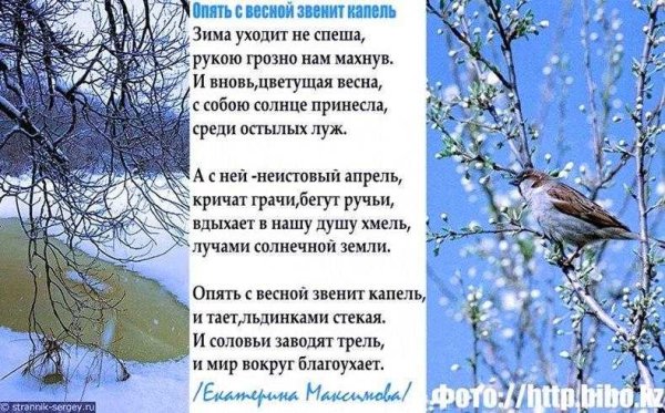 Красивые стихи о весенних ручейках