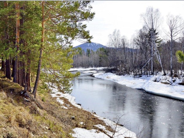 Подснежники в Уфе
