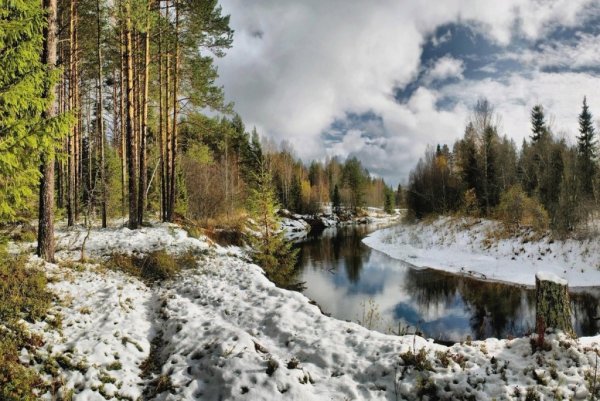 Природа ранней весной