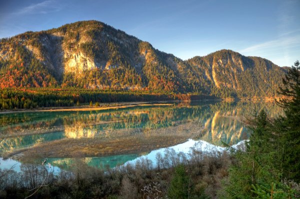 Сибирский Тайга на Урале