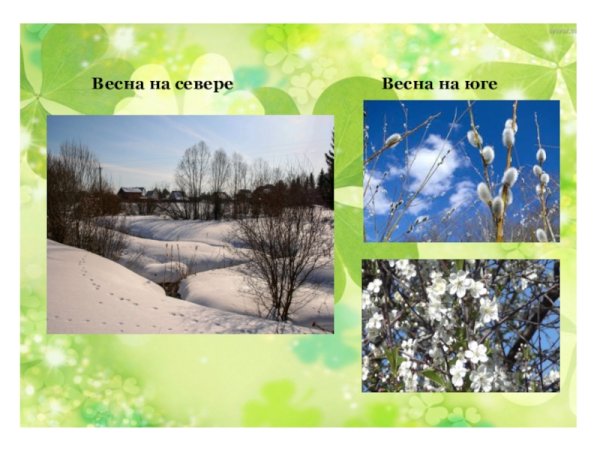 Природные явления весной