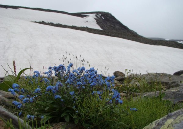 Весна на севере
