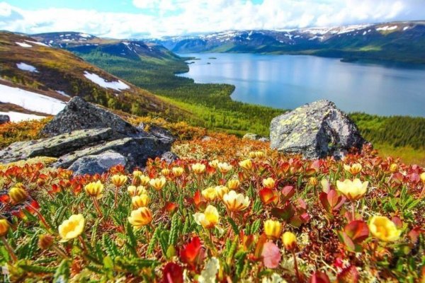 Мурманск природа Кольский полуостров