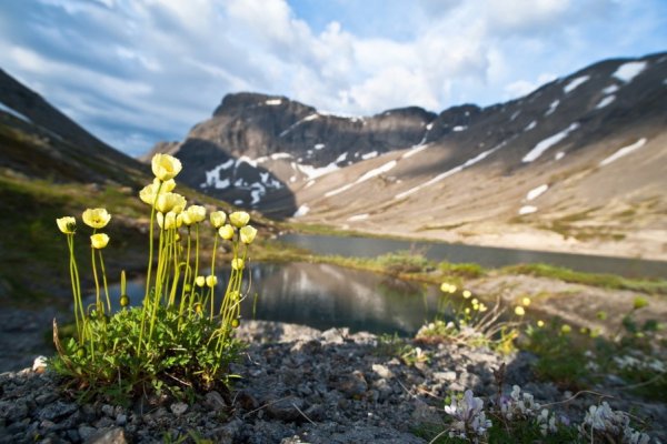 Хибины Весна