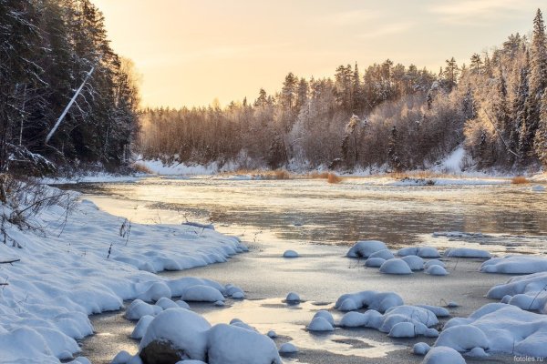 Природа на севере Архангельск
