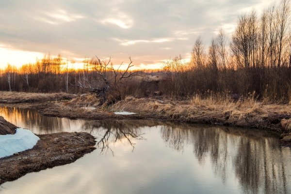 Обои половодье