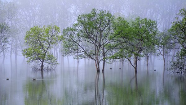Наводнение в природе