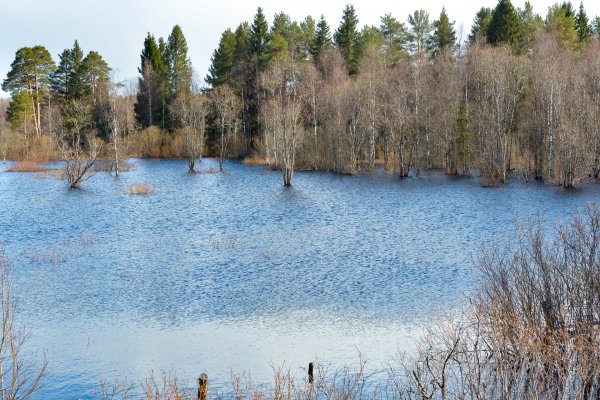 Река Хаболовка