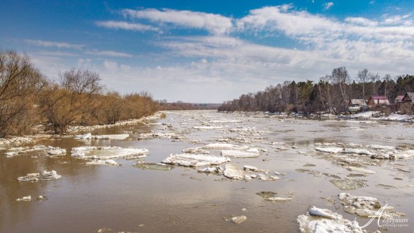 Ловать ледоход