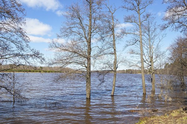 Половодье Галина