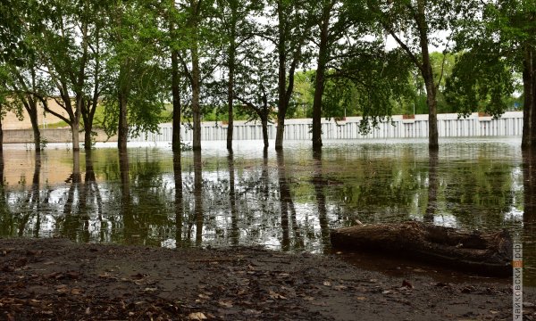 Весенний ледоход