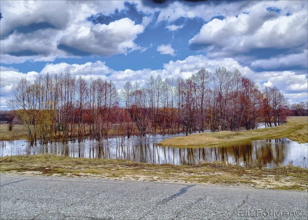 Сестрорецкий разлив половодье