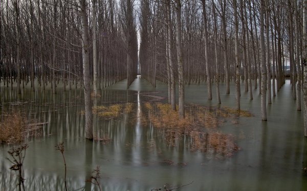 Половодье весной