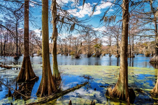 Весеннее половодье