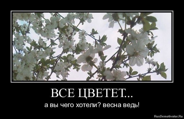 Весна любовь приколы