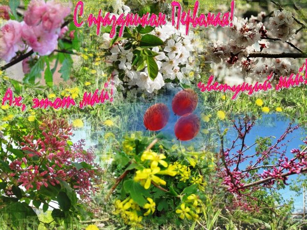 Статусы про зиму