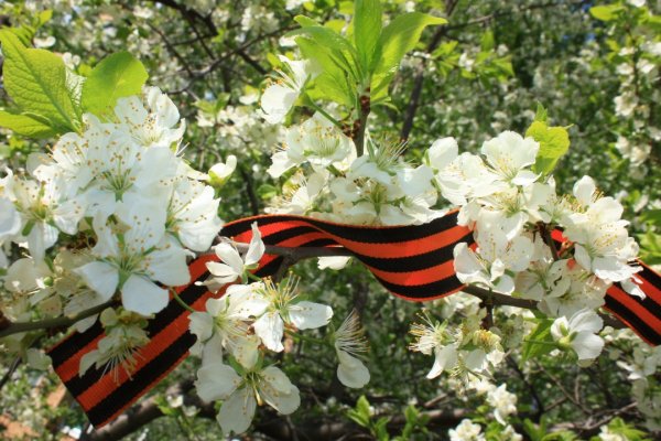 Сирень Победы 1945