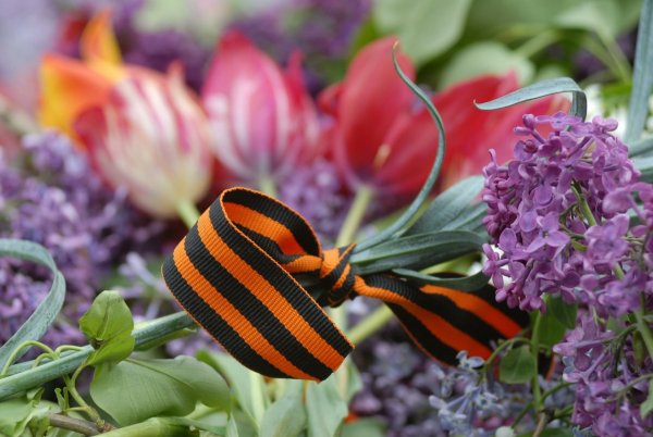 Розоватые цветочками яблони