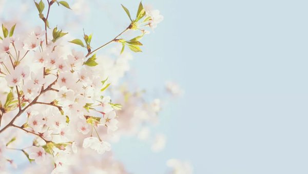 Самолет и природа