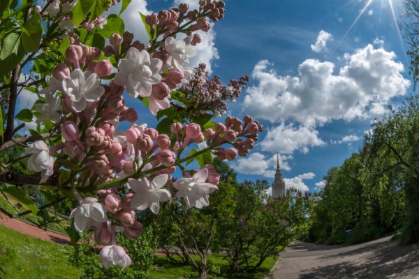 Весна небо солнце