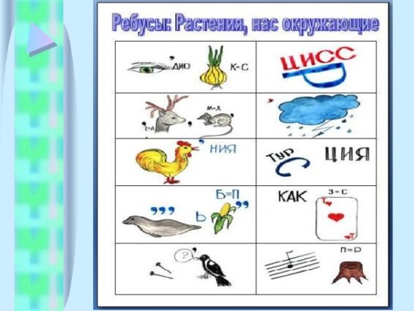 Ребус для 1 класса в картинках с клеточками для ответов