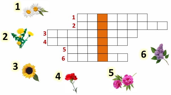 Ребус экология