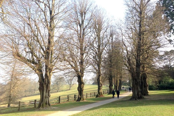 Великобритания весной