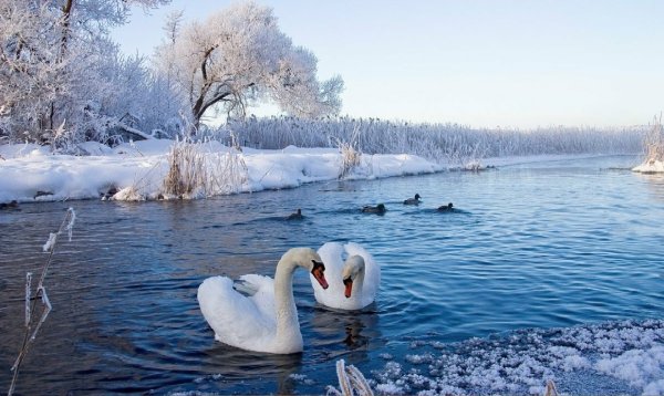 Себежский национальный парк зимой