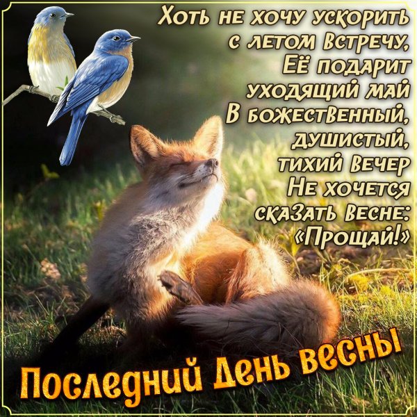 Прощай Весна Здравствуй лето