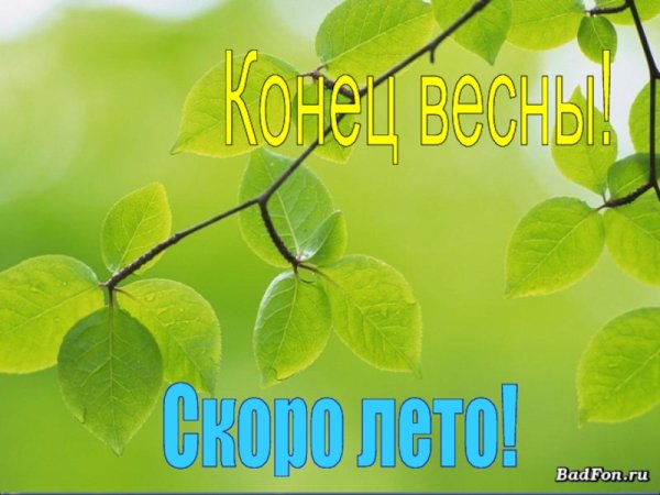 С добрым утром скоро лето