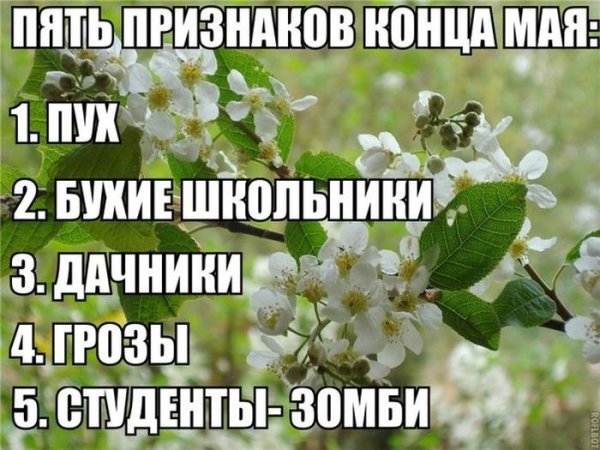 Весна все равно будет