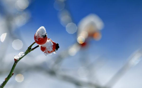 С последним днем зимы