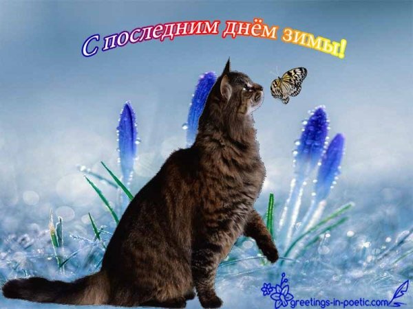 1 Марта скоро Весна