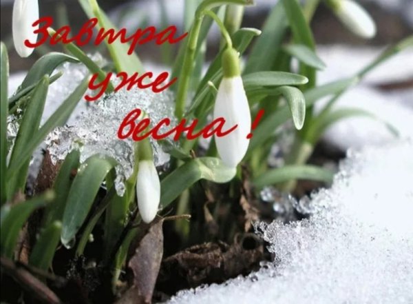 Теплой и радостной весны
