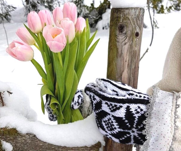 Весеннего настроения пожелания