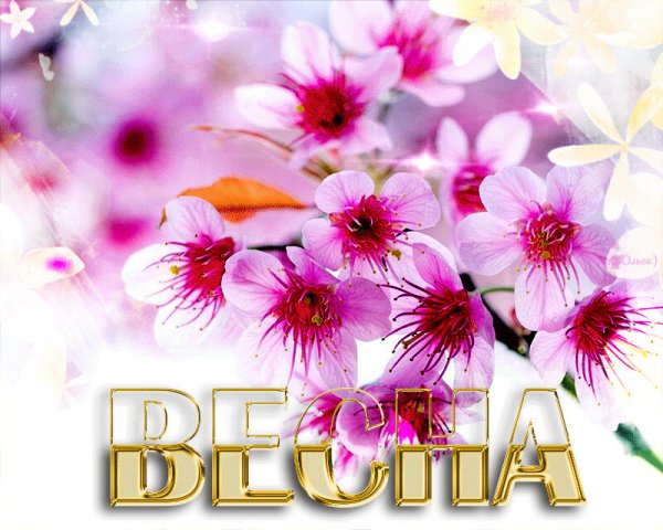 Весна надпись