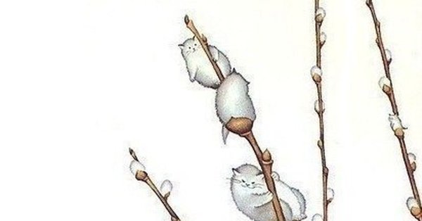 Финская художница Вирпи Пеккала