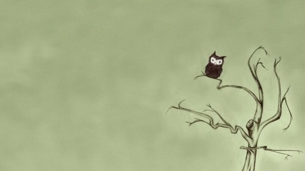 Синий кот с тюльпанами