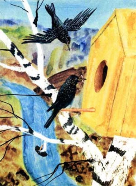Иллюстрация к произведению Куприна скворцы