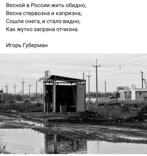 Весной в России жить обидно Губерман