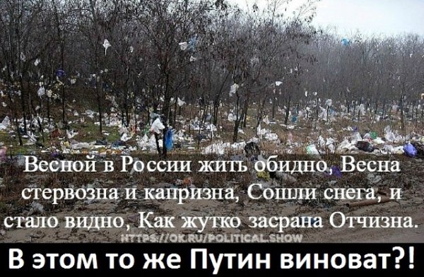 Весной в России жить обидно картинка