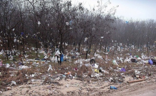 Мусор весной