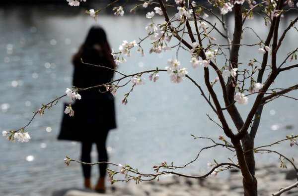 Зима вернулась в марте