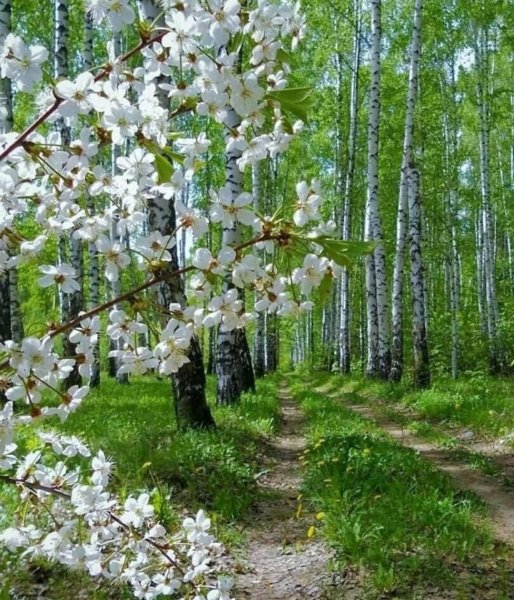 Стихи про уходящее лето