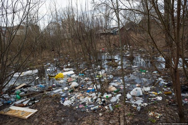 Влюбленные под черемухой ...